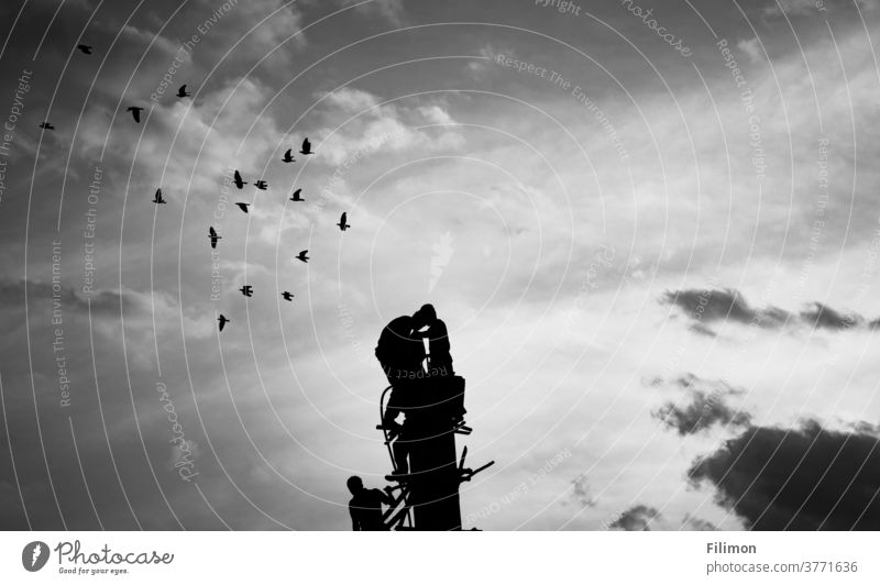 people at construction work with birds flying over the sky Black & white photo Human being beautiful sky Photography