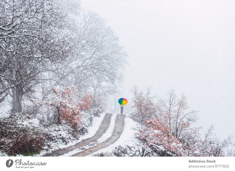 Unrecognizable person walking along road in winter park colorful umbrella snow snowfall cold season pyrenees catalonia spain weather frost holiday vacation