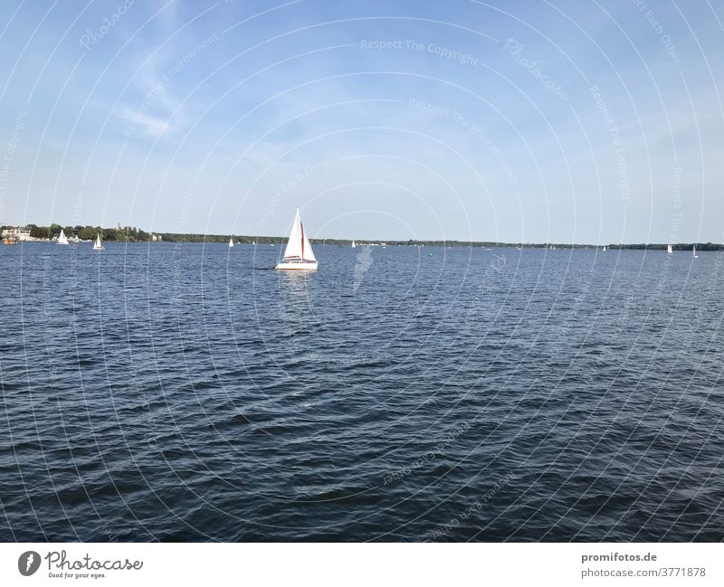 Sailing boats on the Müggelsee in Berlin on a sunny day. Photo: Alexander Hauk sailboats Lake Muggle Water free time vacation travel Sky Clouds Blue