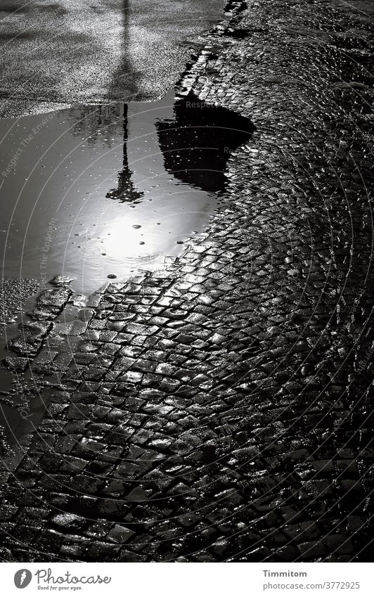 2100. Bring light into the darkness Paving stone Places Wet Puddle Shadow street lamp Reflection in the water Light Sunlight Future Energy Hope Water Deserted