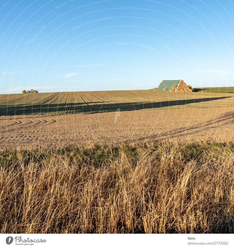 Agriculture l vital Harvest Roll of straw Bale of straw Field Deserted Grain Exterior shot Straw Horizon Beautiful weather