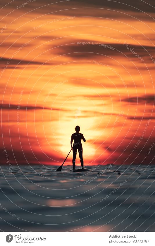 Anonymous woman practicing on paddle board at sunset surfer sup board silhouette row sea training surfboard female summer sporty stand calm water sundown sky