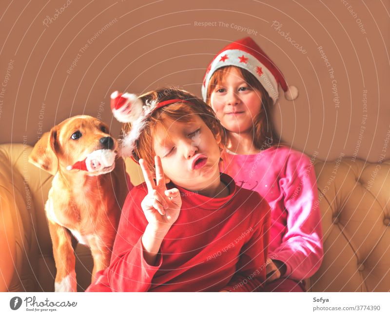 Kids in santa caps playing with cute puppy christmas authentic new year kids mood smiling santa claus red dog pet winter fun funny enjoy holidays home cozy