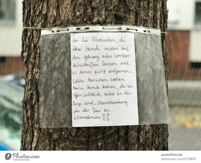 Note to tree: Antisocial and irresponsible dog owner leaves his dog's excrement lying around. Seen in Berlin. Photo: Alexander Hauk Piece of paper Notice