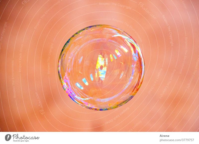 for a little while... Soap bubble Flying Dazzling Easy Glittering Ease Colour Fragile Round Sphere Bubble Esthetic Light (Natural Phenomenon) Playing Reflection
