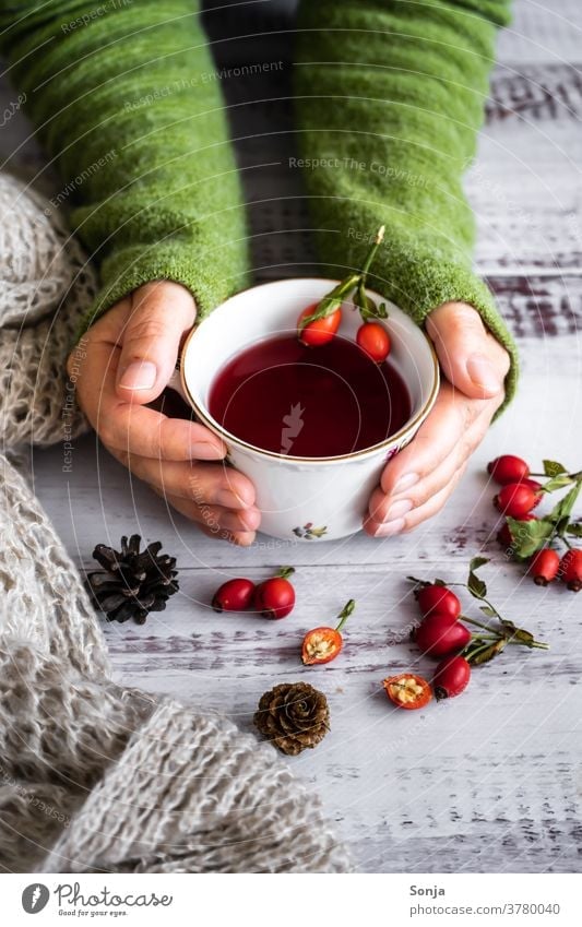 Woman holding a cup of rosehip tea in her hands Tea Rose hip Autumn Shallow depth of field Hot drink hygge Cup stop warm sb./sth. Winter Vitamin Wool sweater