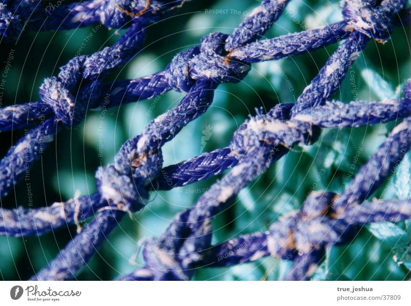 web of life Loop Leisure and hobbies Net Detail Nature Blue Knot