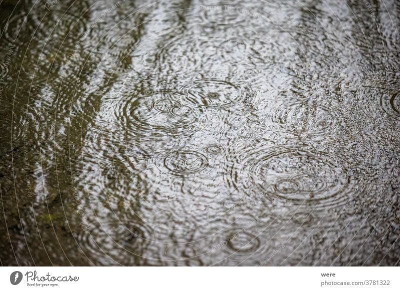 raindrops fall into water on a rainy day and form concentric circles Autumn Drops Raindrops autumn weather bad weather copy space dripping falling flood