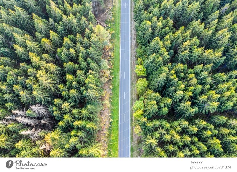 a forest street from above forst from above transportation country road car truck cars way path shadown sun sun forest nature needle forest trees summer