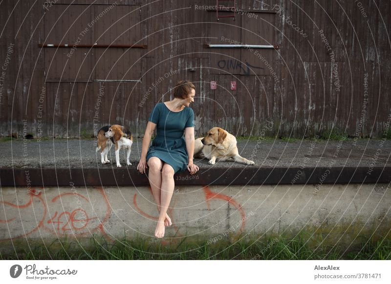 Young woman in a turquoise dress sitting on a loading ramp with a beagle and a labrador Expectation Colour photo Looking into the camera Uniqueness Summer