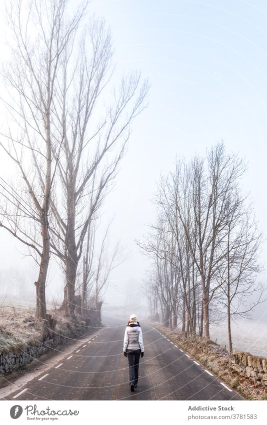 Unrecognizable woman walking on foggy road in countryside alley mist forest cold alone gloomy path female hike nature autumn winter season adventure travel tree