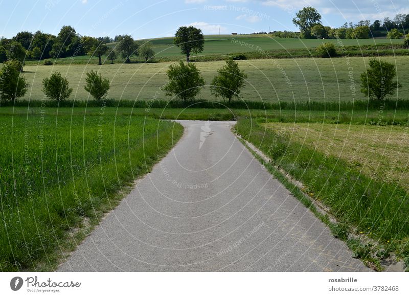 right or left? - A path forks off Decide Turn off Nature To go for a walk Landscape Right Left decide Curve Change Street Going Hiking travel Rural Green