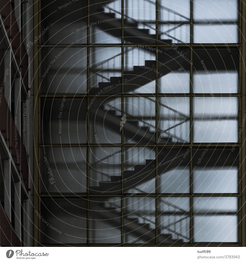 Transparent staircase Staircase (Hallway) Stairs Banister somber Dark Diffuse transparency High-rise Architecture architectural photography Landing Facade
