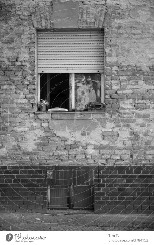 Window Babelsberg b/w Black & white photo window B/W B&W Loneliness Architecture Detail Old building Facade Potsdam Dark