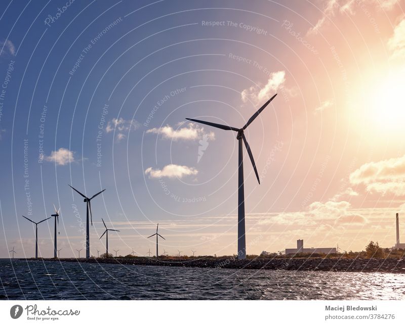 Wind turbines on the coast at sunset. wind green energy water sea industry Denmark landscape generator environment nature sky concept picture energy generation