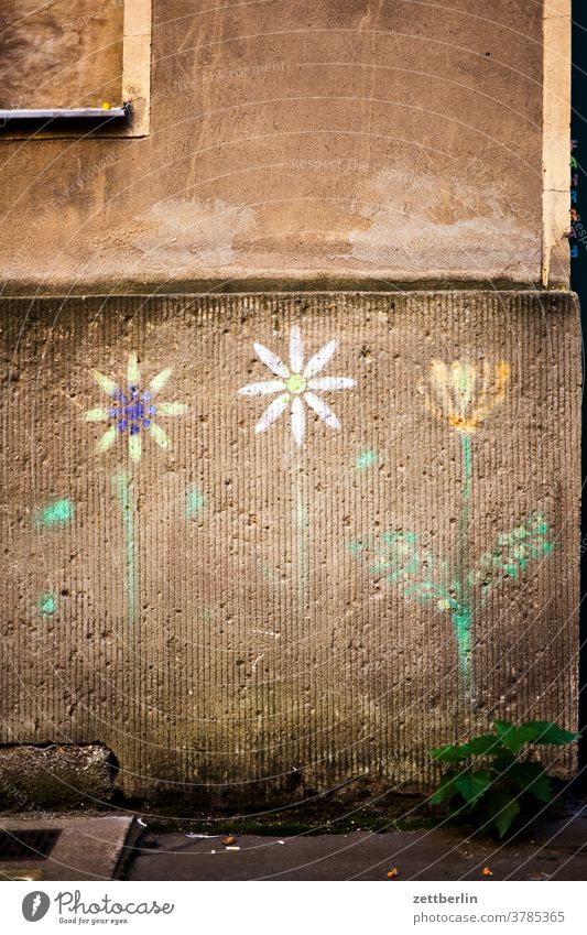 Old building facade with painted flowers on the outside Fire wall Facade Window House (Residential Structure) Sky Sky blue rear building Backyard Courtyard