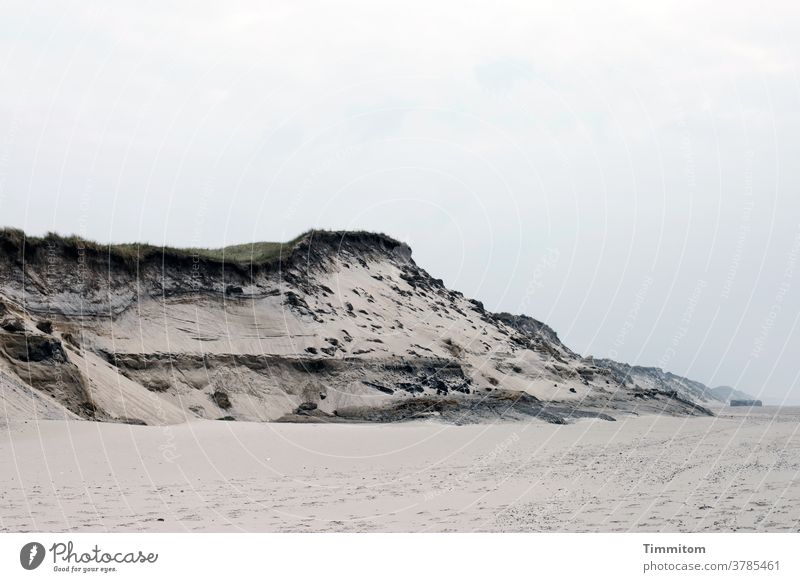 Shipping duene Marram grass Sand Beach Dugout North Sea Denmark Sky Covered wide tranquillity Vacation & Travel Deserted Colour photo coast Nature Exterior shot
