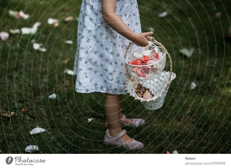 Flower child holding two baskets of rose petals as scattered flowers at a wedding outside in a meadow Wedding flower child pink flower girl Rose leaves Basket