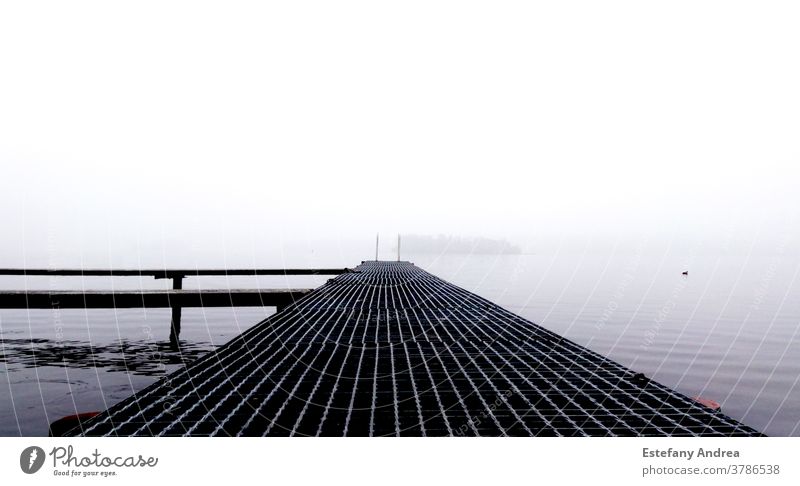 White and foggy day on a dock Harbour Water lake quiet white Nature contrast Morning Autumn Reflection Loneliness Calm Landscape Moody Maritime Exterior shot