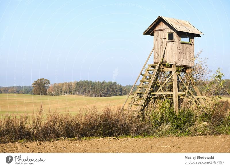 Elevated wooden hunting blind in a field. hide agriculture tower land nature sky landscape rural elevated countryside raised morning nobody natural