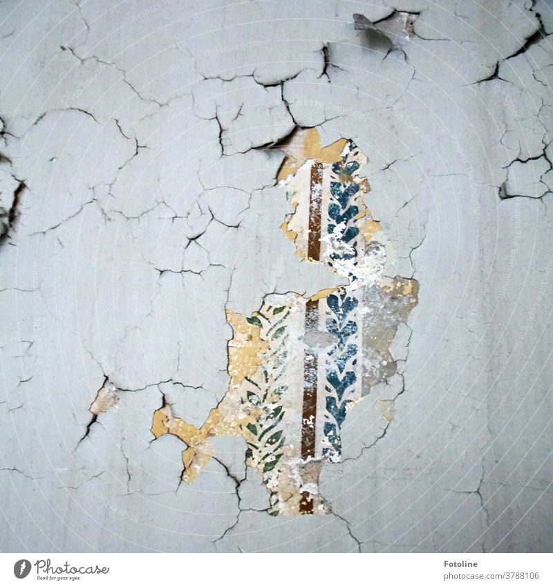 A small piece of wallpaper on a wall testifies to past glory on a crumbling wall in a lost place lost places Old Colour photo Deserted Interior shot Day Decline
