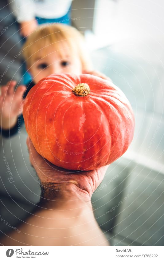 a little boy is fascinated by a pumpkin Pumpkin time Child Autumn Hallowe'en Father Son Indicate Explain hands stretch spellbound
