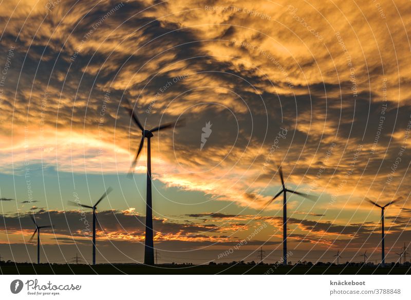 wind Wind Clouds Sunset Energy Renewable energy Sky Wind energy plant Exterior shot