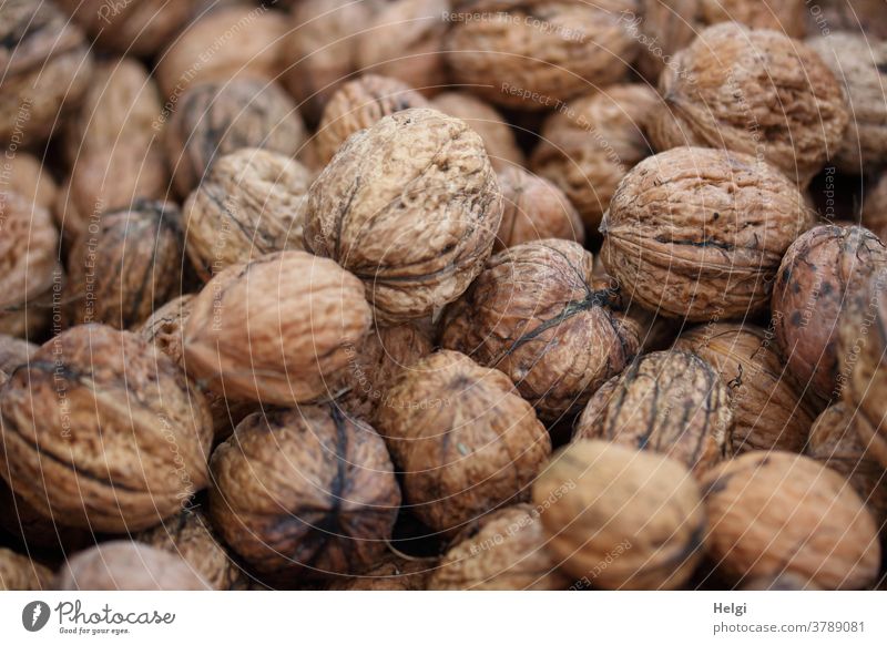 lots of freshly harvested walnuts Walnut Nut Colour photo Food Nutrition Close-up Delicious Vegetarian diet Healthy Organic produce Deserted Healthy Eating