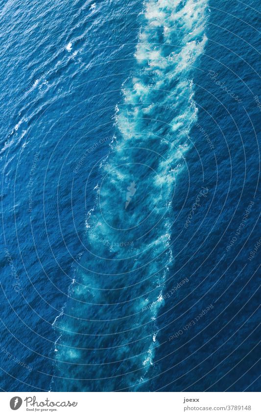 Track of a ship in sea water Aerial photograph Ocean trace Water White crest Blue Bird's-eye view Exterior shot Deserted Waves Day Colour photo Above Diagonal