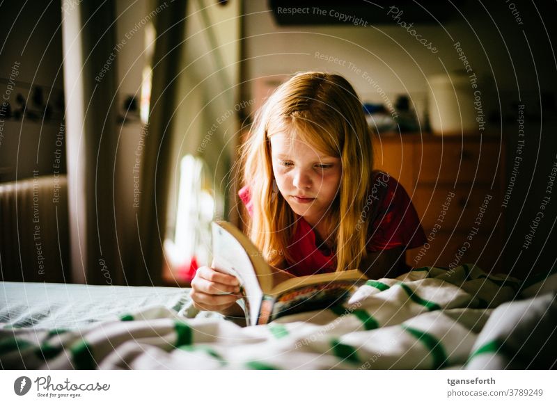 Child reads comics Infancy Reading Reading a book Comic portrait Book Colour photo Education Girl Interior shot Concentrate Human being Study Know Literature