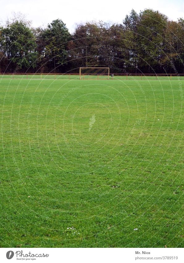 green meadow with soccer goal in the background Sporting grounds Football pitch Sports Green Lawn Grass Meadow Playing field Grass surface Sporting Complex