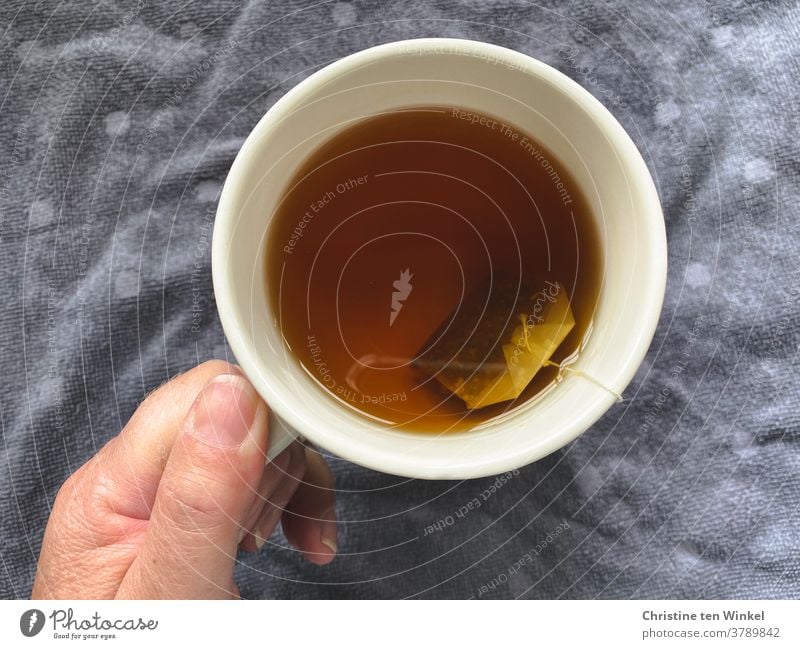 View from above of a mug of hot herbal tea, held by the hand of a woman. Grey background. Tea Herb tea Teabag teacups Hot drink stop To hold on warm Cozy Autumn