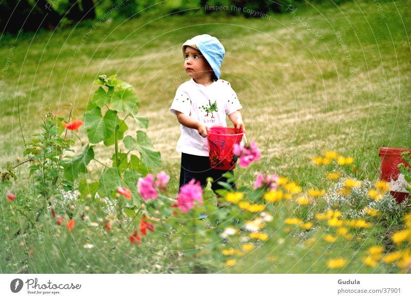 flower meadow Child Flower Meadow Summer Dream Physics Green Man Boy (child) Warmth
