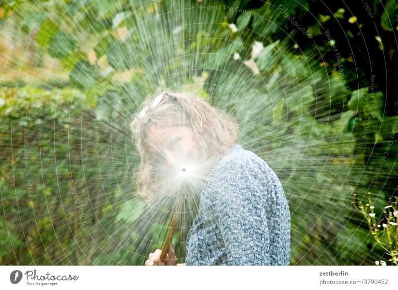 Woman with water hose Relaxation holidays Garden allotment Garden allotments Nature Plant tranquillity Garden plot Summer shrub Copy Space Depth of field Meadow