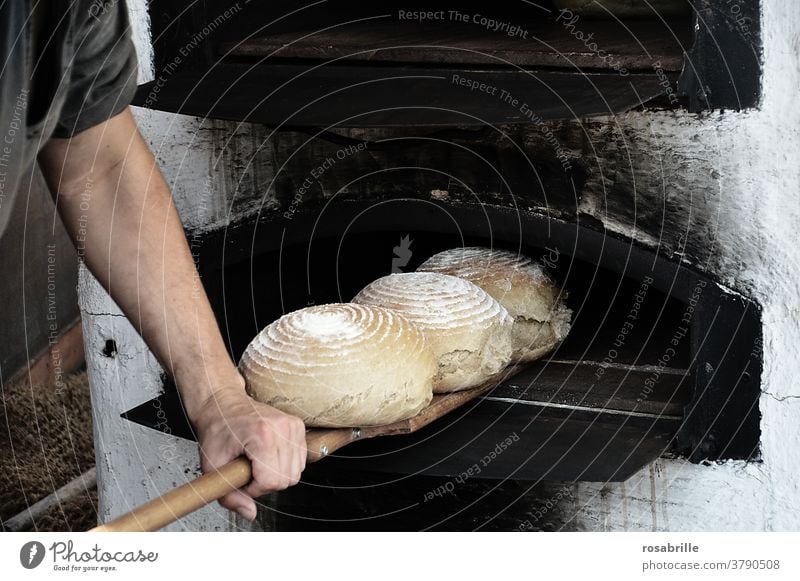 vital | our daily bread Bread Baking Baker oven wood-fired Craft (trade) loaf Loafs Fresh salubriously naturally oven-fresh on a daily basis ancient pizza oven