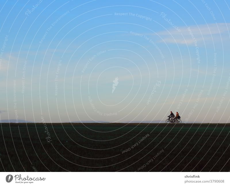 Cyclists on the horizon at dawn Wheel Bicycle mobile Environment Exterior shot Energy Field Horizon Sky Nature Landscape