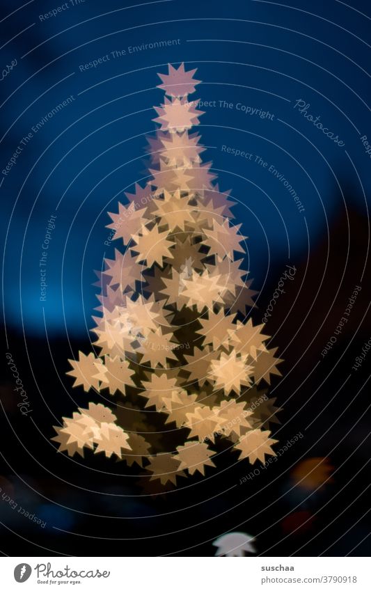 star christmas tree stars Starry Christmas tree Night Sky Night sky Christmas & Advent Winter Tree clearer luminescent Christmassy Christmas Fair Decoration