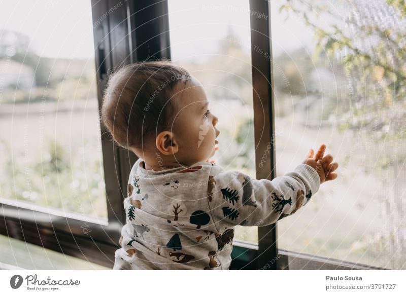 Toddler at the window Window indoor Family & Relations Baby Child Love Home Joy Happy Parents Together Cute Curiosity Innocent Interior shot Caucasian Infancy
