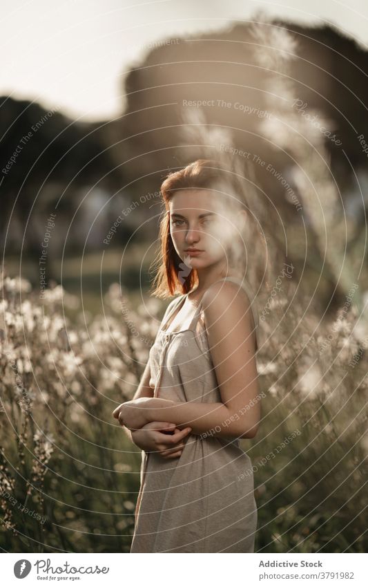 Medium shot portrait of young beautiful woman wearing a beige dress, posing in a field full of flowers and surrounded by trees. She is behind tall plants and backlit with sunlight at sunset.