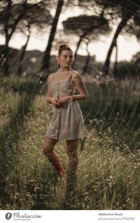 Slim woman standing in summer park dress lawn peaceful relax meadow calm sunlight female iceland serene enjoy green young tranquil field idyllic style trendy