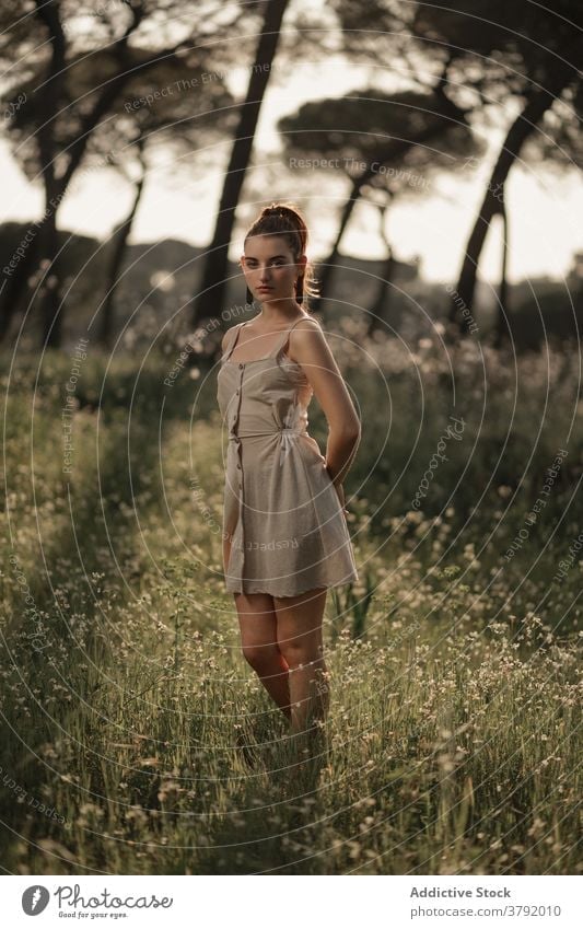 Slim woman standing in summer park dress lawn peaceful relax meadow calm sunlight female iceland serene enjoy green young tranquil field idyllic style trendy
