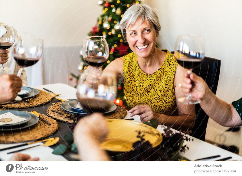 Joyful family members clinking wineglasses during Christmas celebration friend christmas cheers toast joy smile celebrate eve festive gather cheerful alcohol