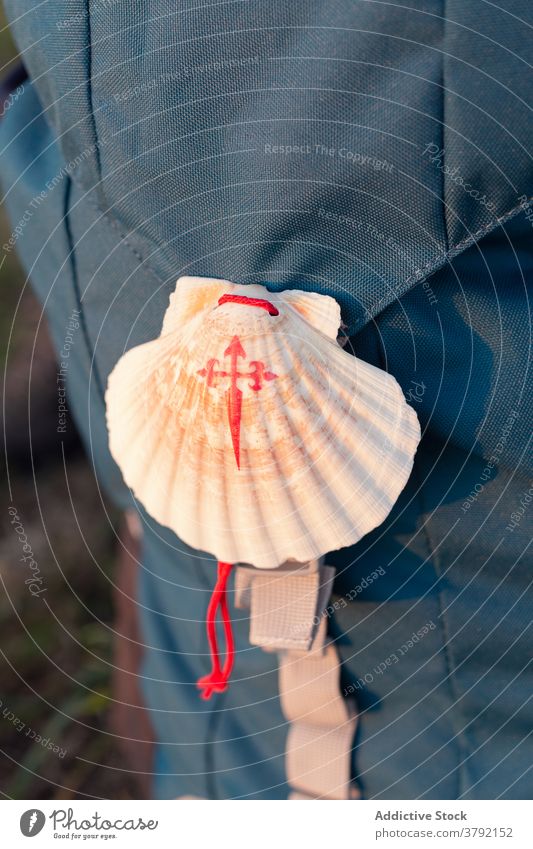 Bright decorative sea shell with cord on backpack seashell santiage de compostela pilgrimage camino de compostela scallop creative ornament design marine travel