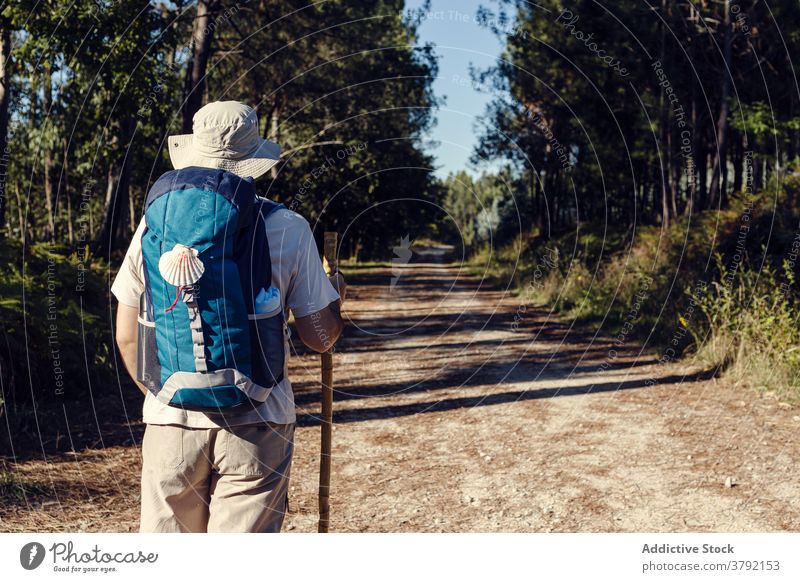 Faceless tourist with backpack and trekking stick on shabby pathway man pilgrimage route travel santiago de compostela explore camino de santiago vegetate