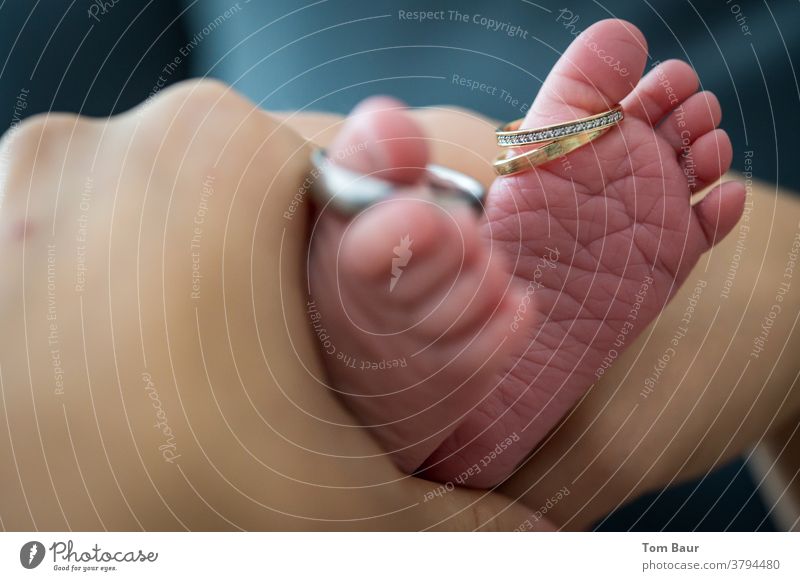 Wedding rings on baby's feet new life comes from a connection baby feet Baby Child Human being Interior shot Toes Feet 0 - 12 months Legs Barefoot