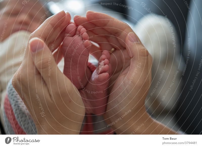 Mother holds her hands around the feet of her baby in the blurred background you can see the newborn sleeping Newborn Human being Baby Small Child White Girl