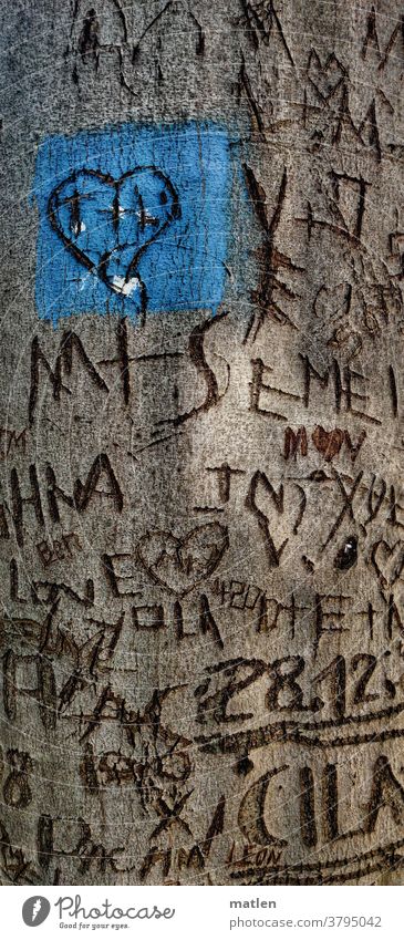 love tree Tree bark Carving Heart names Letters (alphabet) Data remembrances Everlasting abiding Beech tree Deserted Love date mobile