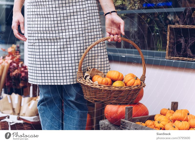 Woman holding a basket with pumpkins in her store. hands girl apron orange backgrounds healthy urban outdoors lifestyle food eating nature ingredient green