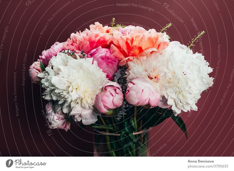 Amazing Fresh bunch of pink peonies peony coral flower cerise bouquet pastel floral petals wallpaper card postcard spring love summer holidays romantic garden