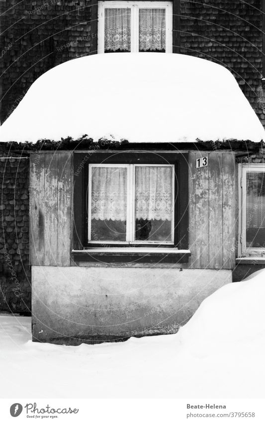 Schwarzwälder Schneehütchen: snow-covered entrance Black Forest Winter House (Residential Structure) Entrance Roof Snow hat White Hat Exterior shot Deserted